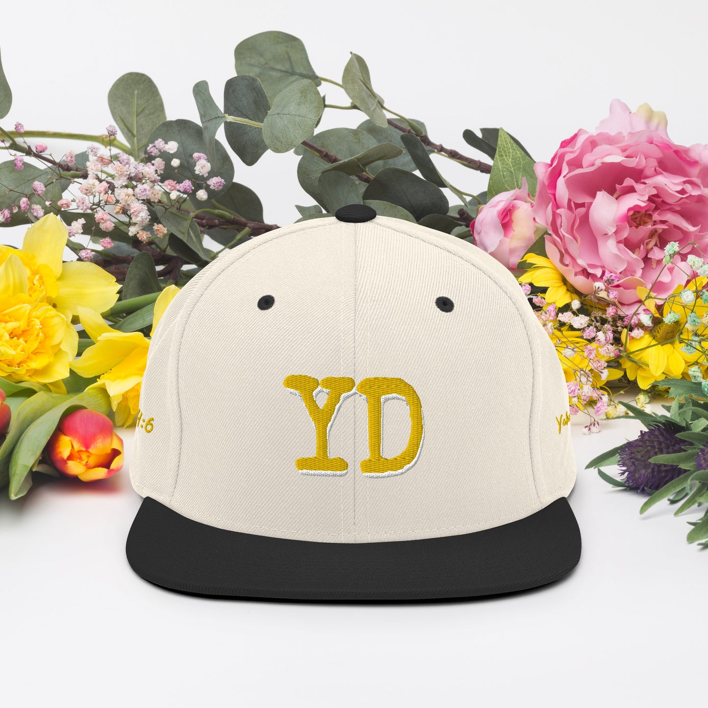 YDxSnapback Hat